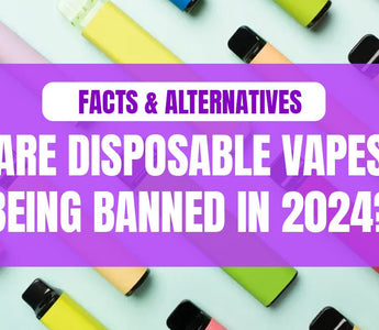 Are Disposable Vapes Being Banned In 2024 In The UK? - Prime Vapes UK