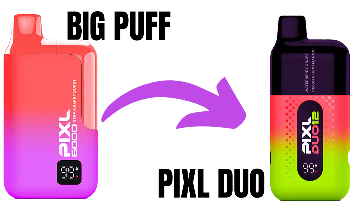 pixl 6000 to pixl duo