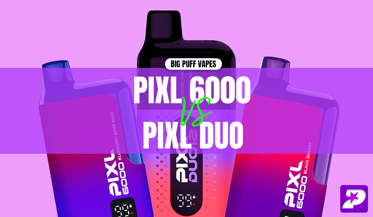 pixl 6000 vs pixl duo